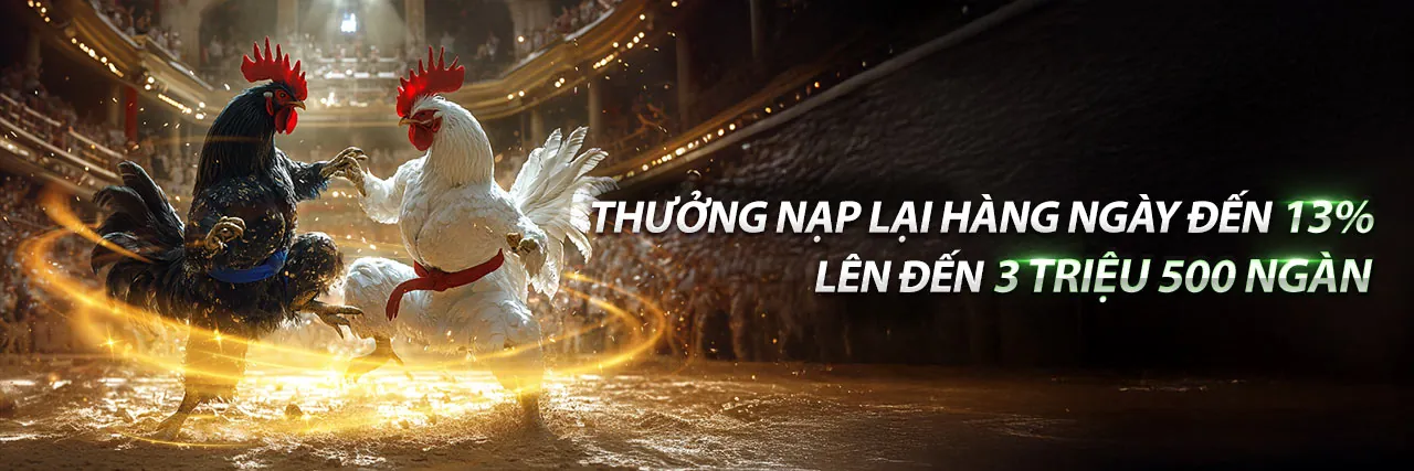 Hình ảnh giới thiệu go8plus, nền tảng cá cược trực tuyến hàng đầu